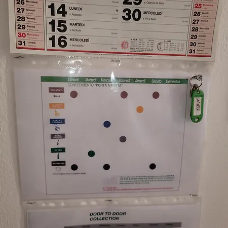 Bingo 2 阿尔盖罗